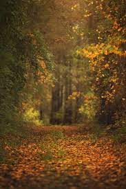 Find the best backgrounds stock photos for your project. Hd Landscape Background For Photoshop