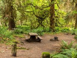 Check spelling or type a new query. Hoh Rainforest Campground Olympic National Park Recreation Gov