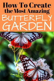How To Create Your Own Butterfly Garden Butterfly Garden Design Butterfly Garden Pollinator Garden