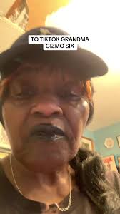 ASKING TIKTOK FOR BRANDS SAMPLES THANK YOU GRANDMA GIZMO SIX#HiddenGems