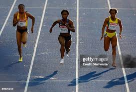 50 Vida Anim Stock Photos, High-Res Pictures, and Images