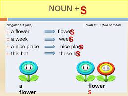 Plural Of Nouns Flower Flowers Bus Buses Man