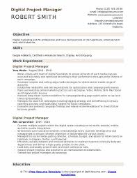 Download it for free and stand out among others by introducing your professional information in an original way. Digital Project Manager Resume Samples Qwikresume