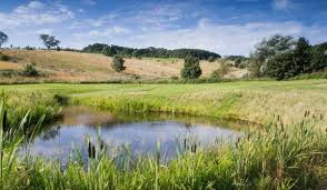 Two 18 hole courses situated in calverton. The Courses Ramsdale Park Golf Centre Golf Courses Golf Nottinghamshire