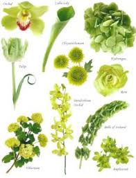 Different name of flowers has a different unique name with a significant meaning. Flower Names By Color Flower Names Flower Guide Types Of Flowers