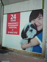 Klinik 24 jam panyingkiran medika hospital alamat : Pet Crazee 24 Hour Pet Hospital