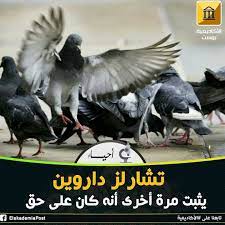 اقترح تشارلز داروين أن الطيور تستخدم أجنحتها ليس فقط للطيران ولكن للتواصل أيضا وبعد ما يقرب من 150 عاما أثبت العلماء أنه كان علي حق حيث وجدت ا animals owl bird