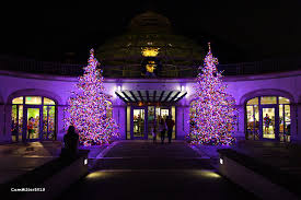 Discover (and save!) your own pins on pinterest Phipps Conservatory And Botanical Gardens Original 14609 Jpg Thousand Wonders