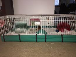 Some guinea pigs may not enjoy using the balcony. Midwest Guinea Habitat Plus Guinea Pig Cage 47 L X 24 W X 14 H Petco