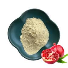 Landnutra-Pomegranate Urolithin A Manufacturer & Suppliers