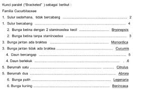 Kunci jawaban buku siswa tema 7 kelas 5 halaman 30 32 33 35 37 41 42 di 2020 buku halaman kunci. Materi Ipa Kelas Vii Smp Kunci Determinasi