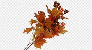 Check spelling or type a new query. Autumn Leaves Drawing Action Rain Leaf Kleurplaat Autumn Leaf Color Grape Leaves Bestekbak Autumn Action Rain Png Pngwing