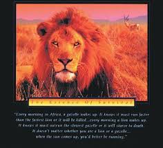 When The Sun Comes Up You Better Be Running Quote When The Sun Comes Up You Better Be Running How To Run Faster African Proverb How To Stay Motivated