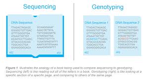 Pcr is indispensable for genetic sequencing, molecular cloning. Types Of Pcr Used For Genetic Research Applications Where Different Types Of Pcr Play A Vital Role Goldbio
