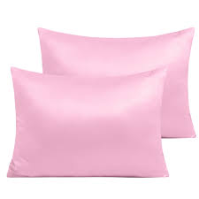 Winston Porter Ennassim Satin Toddler Pillow Case Reviews Wayfair