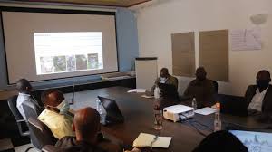 Image result for Sericanthe chimanimaniensis