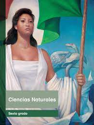 Ciencias naturales 6 caba subtitulo: Primaria Sexto Grado Ciencias Naturales Libro De Texto By Santos Rivera Issuu