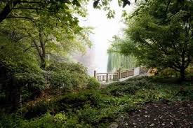 We did not find results for: Paisajes De Naturaleza