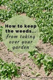 How to weed your garden. How To Control Weeds In The Garden Feathers In The Woods