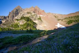 Check spelling or type a new query. Three Fingered Jack Peak Canyon Creek Meadows Shareoregon