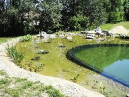 Wie Viel Darf Ein Schwimmteich Kosten Haus Dekoration Mehr In 2020 Schwimmteich Naturschwimmteich Wasserbecken Garten