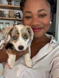 Puppy food for less frequent poops?