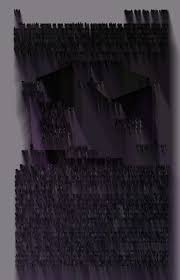 Image result for Megalastrum lanuginosum