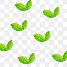 Green Plant Leaves Hand Painted Tea Leaves Transparent Bottom Free Green Leaves Plants Png Transparent Clipart Image And Psd File For Free Download Plant Leaves Green Leaf Tea Watercolor Plants
