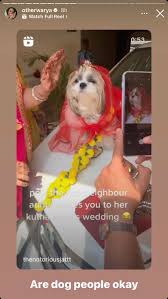 Khud poore ganv me dhindora peeto that you had great sex, act all creepy  and stalk the f*** outta that guy and have the audacity to ask if “dog  people are okay”