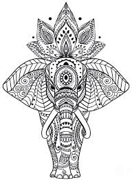 Flower adult, mandala, zentangle, advanced, hard, color by number for adults, christmas adults. Coloring Pages For Adults Best Coloring Pages For Kids Mandala Coloring Pages Elephant Coloring Page Mandala Coloring Books