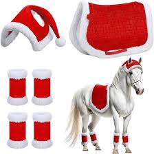 Costume Natalizio per i Cavalli da Indossare, 6 PezziSet Saddler di Cavallo  di Natale con impacchi per Le Gambe di Babbo Natale, Costume Natalizia :  Amazon.it: Prodotti per animali domestici