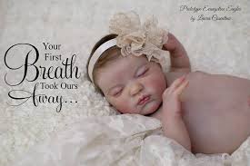 Reborn evangeline is leaving the nursery. Laura Cosentino Luxury Reborn Dolls On Twitter Laura Reborn Dolls Prototype Evangeline By Laura Lee Eagles Available On Ebay Https T Co Srmwui9nv4 Https T Co Epwwui61mw