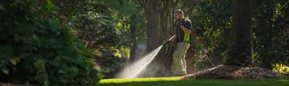 Roanoke rapids (/ˈroʊəˌnoʊk/) is a city in halifax county, north carolina, united states. Centipede Control In Roanoke Rapids Nc Virginia Carolina Pest Management