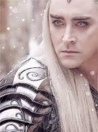 Purple Wizard-kennel