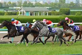 第56回宝塚記念(g1) 芝右2200m / 天候 : ç«¶é¦¬å‚æˆ¦å‚™å¿˜éŒ²