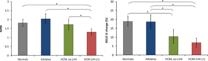 Oxygenation And Perfusion Changes In The 4 Groups Bar Graph