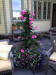 Pin By Ryan Vollmer On Willow Garden Design Garden Design Willow Garden Garden