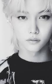 Which Stray Kids member would you like to spend a day with?