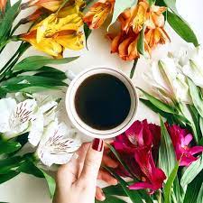 Flatlay Flowers Coffee Coffee Art Coffee Kava
