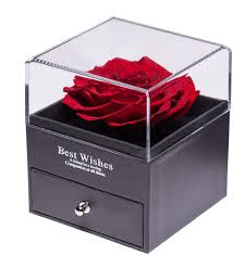 Every rose looks like it's ready to toss (brown tinged edges on the petals). Erhaltene Echte Rose Ewige Handgemachte Erhaltene Rose Mit Liebe Sie Halskette Verzauberte Echte Rose Blume Zum Valentinstag Jubilaum Jaten Geburtstag Romantische Geschenke Fur Sie Red Amazon De Fashion