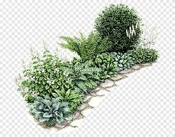 (le chlorophytum) est assez increvable. My Garden S Art Des Plantes A Feuilles Vertes Et Blanches Png Pngegg