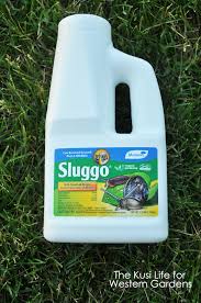 Here's how to keep your garden free from nasty garden pests. 3 Ways To Get Rid Of Snails Western Garden Centers
