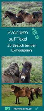 Wandern Auf Texel 7 Schone Wanderungen Travelinspired Reisen Texel Urlaub Reise Inspiration