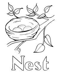 Let's say you're walking along in the woods and you spot a beautiful little bird nest up in a tree. Birds Nest Colouring Pages Bird Coloring Pages Coloring Pages Colouring Pages