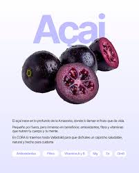 Image result for Anisophyllea boehmii