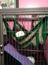 It attaches easily to the top of any midwest ferret nation, critter nation or other wire cage. Ferret Hammock Crochet Crochet Cat Cat Hammock Pattern Cat Hammock Crochet