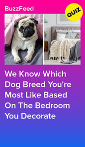 Decorate Your Perfect Bedroom And We Ll Reveal Which Dog Breed You Are In 2020 Quizzes Funny Interesting Quizzes Dog Quizzes