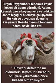 Hedef 2023 Adli Kullanicinin Hadis Panosundaki Pin Ozlu Sozler Dualar Inanc