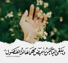 نتيجة بحث الصور عن الياسمين arabic quotes photo quotes amazing quotes