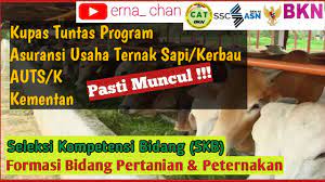 Jika ada kesalahan mohon dikoreksi whatsapp : Fr Skb Cpns Penyuluh Pertanian Terbaru Part 3 Lengkap Penjelasan Youtube